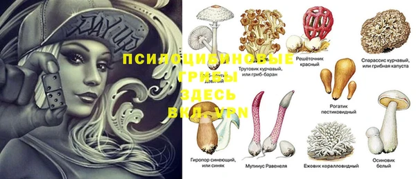 гашик Магадан