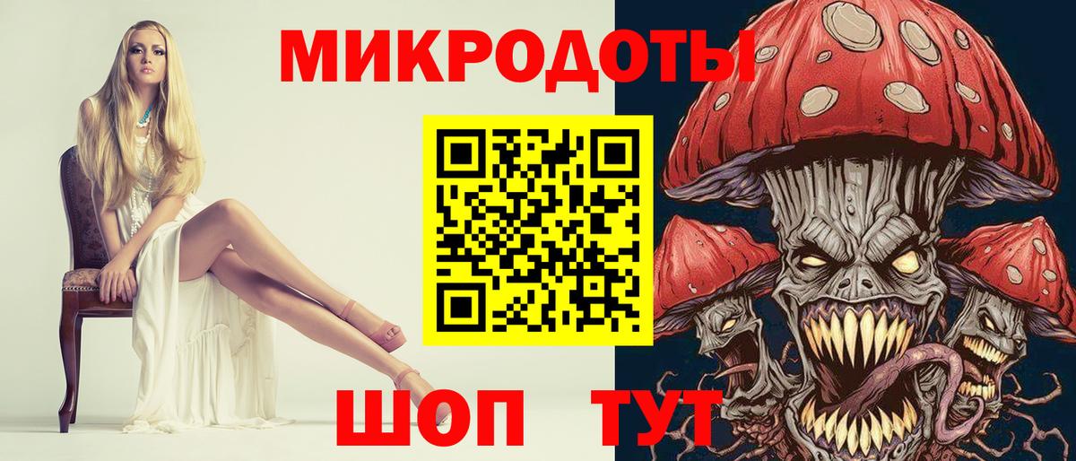 Галлюциногенные грибы Psilocybine cubensis Новомосковск