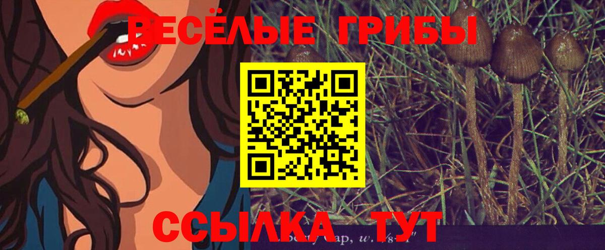 Галлюциногенные грибы Magic Shrooms  Галлюциногенные грибы Magic Shrooms  Новомосковск 